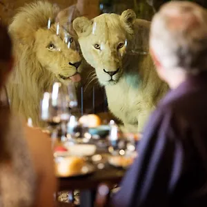 Orman Evi Jamala Wildlife 
